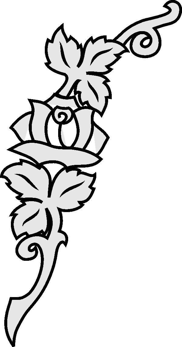 Rose Outline Test