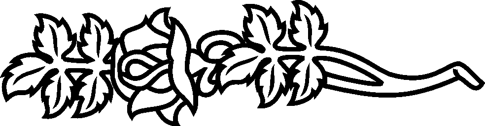 Single Long Stem with 6 leaves