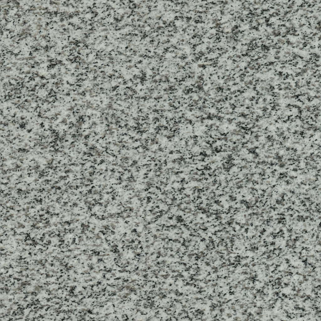 A close-up, high-resolution image of Starlight Gray granite, showing its natural speckled texture of black, white, and various gray tones. This durable stone provides a classic and versatile surface for memorial engravings.
